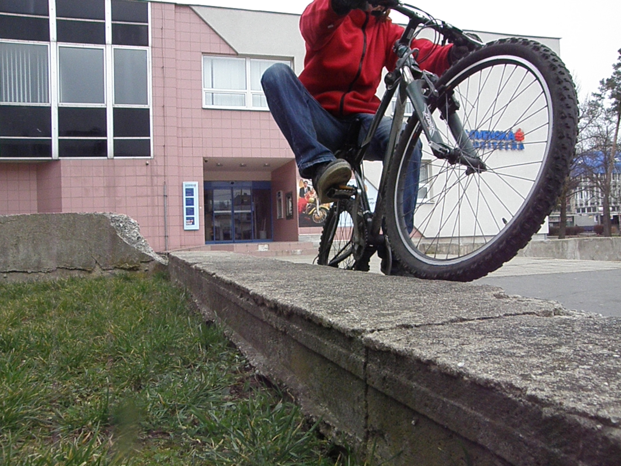 P3184034.JPG